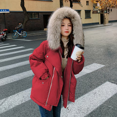 Korean Style Cotton-padded Jacket
