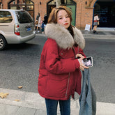 Korean Style Cotton-padded Jacket